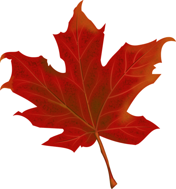 IMMIGRATING TO CANADA