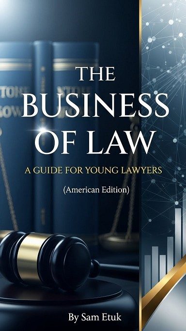 THE BUSINESS OF LAW: A GUIDE FOR YOUNG LAWYERS (American Edition)